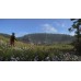Kingdom Come Deliverance Royal Edition (Switch, русские субтитры), ,